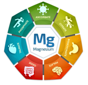 Bioptimizers_Magnesium Breakthrough